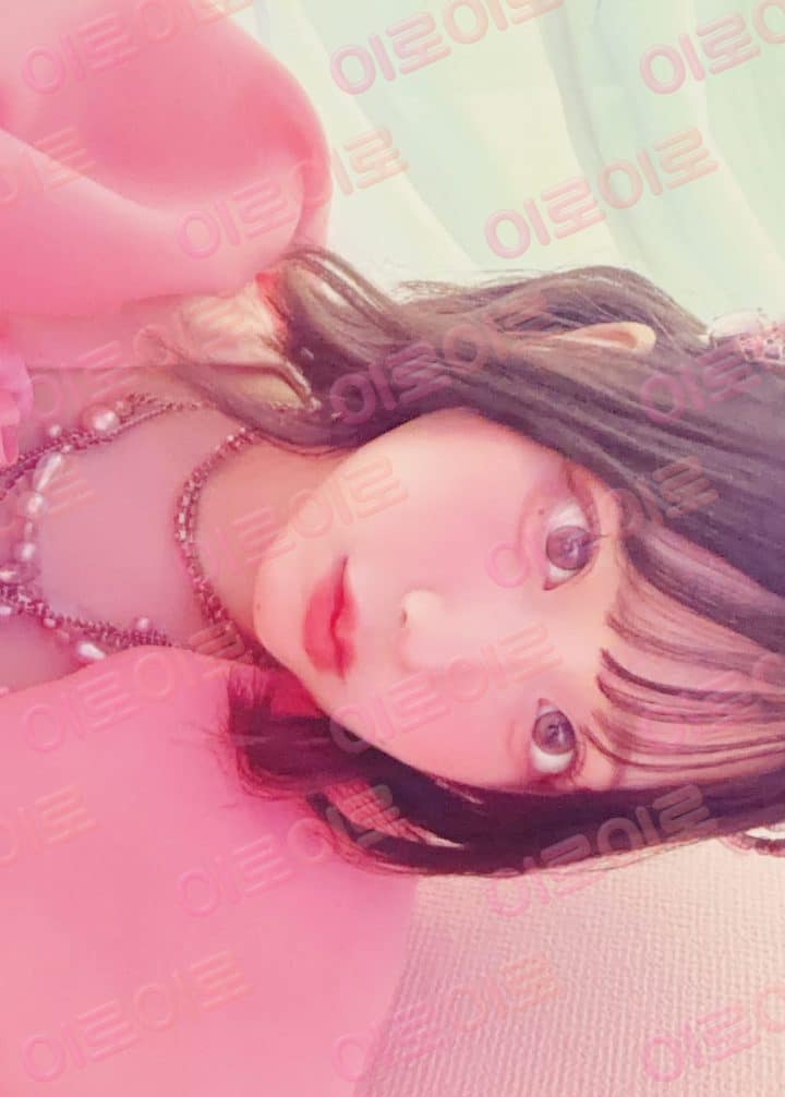 사쿠라바 하루카 · ver.2